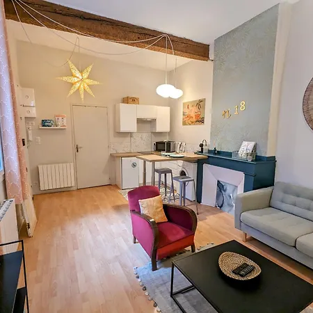 Cocooning, Hyper Centre, Quartier St Etienne Appartement *