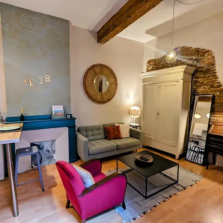 Cocooning, Hyper Centre, Quartier St Etienne Appartement *
