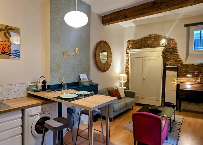 Cocooning, Hyper Centre, Quartier St Etienne Appartement