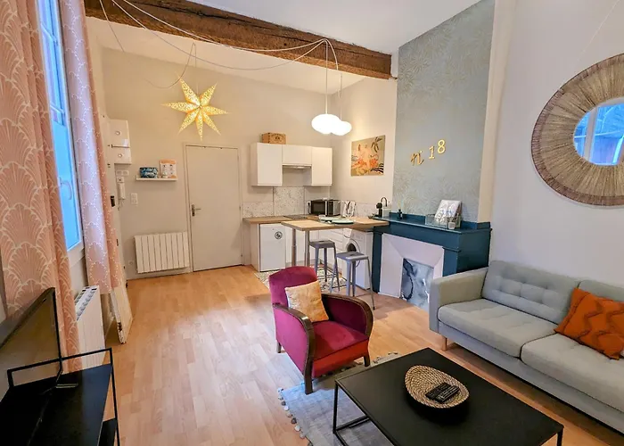 Cocooning, Hyper Centre, Quartier St Etienne Appartement *