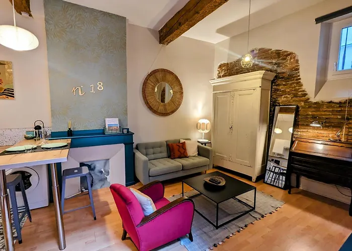 Cocooning, Hyper Centre, Quartier St Etienne Appartement *