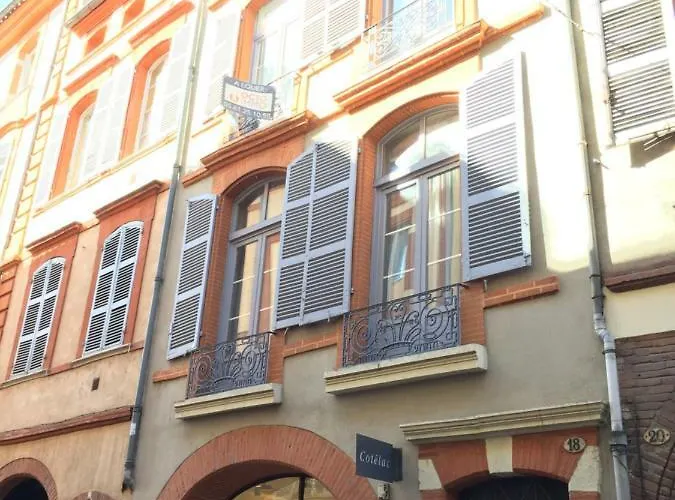 Cocooning, Hyper Centre, Quartier St Etienne Appartement Toulouse